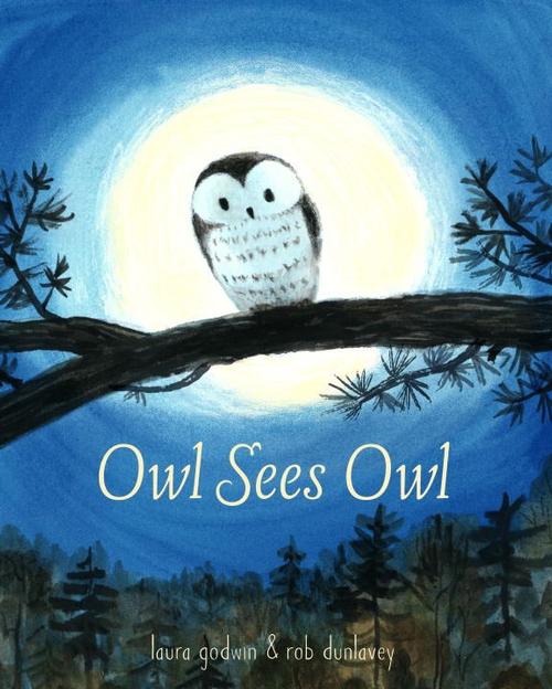Owl Sees Owl by Laura Godwin; illustrated by Rob Dunlavey